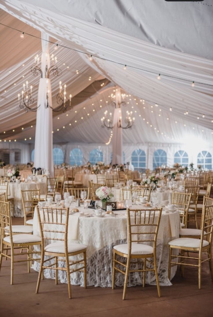 Gold Resin Chiavari chair (sold in boxes of 4 assembly required) price per chair